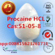 99% Procaine Hydrochloride, Procaine Hci, 51-05-8